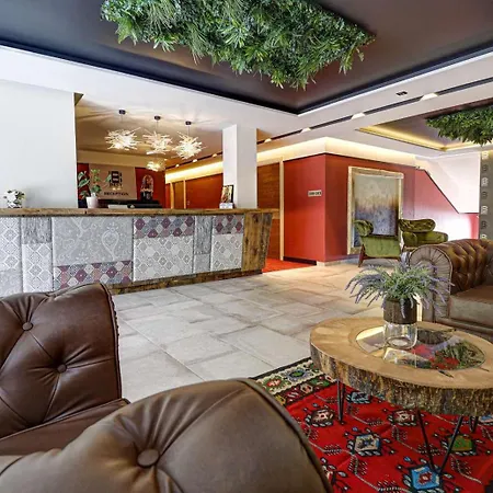 Vlasinsko Jezero Bed & Breakfast *