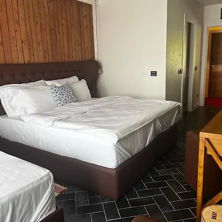 Bed & Breakfast Vlasinsko Jezero *